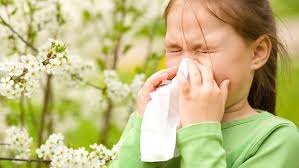 Allergia al Polline